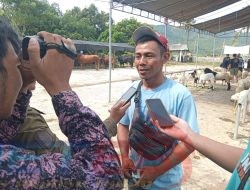 Inovasi Bumdes Jaya Mandiri Desa Kendit, Uji Coba Pasar Hewan Rabuan