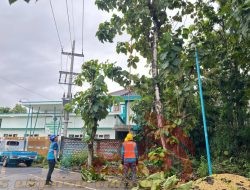 Tanggap Cepat dan Tegaskan Komitmen PLN UP3 Madura terhadap Lingkungan Pendidikan