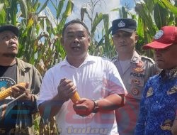 Inovasi Baru Panen Yang Melimpah, Dukung Ketahanan Pangan