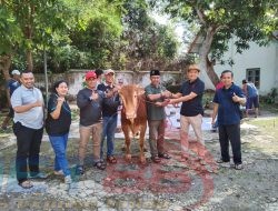Sambut Iedul Adha 1446 H / 2026 M, Perum Perhutani KPH Bondowoso Bagikan Daging Qurban Kepada Warga