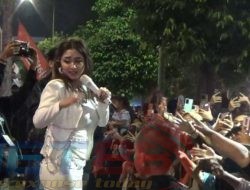Dewi Perssik Semarakkan Panggung Pendalungan Festival Jember