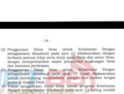 Anggaran 20% dari Pagu Dana Desa Wajib Dikelola BUMDes