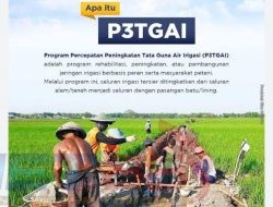 Benarkah Kelompok HIPPA Pemuda Jaya Salah Satu Penerima P3TGAI Punya Lahan Pertanian