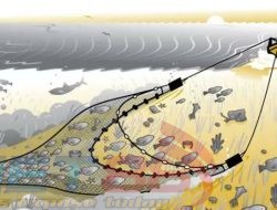 Resahnya Nelayan Pancing Desa Gelung, Pilar08 Situbondo Kirim Pengaduan ke Kapolres