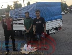 Gagal Edar, Puluhan Botol Arak Ilegal Diamankan Patroli Samapta Situbondo