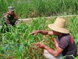 Kegiatan Komsus Babinsa Desa Bajang Koramil 0826-08/Pakong: Meningkatkan Keakraban dan Kesejahteraan Warga