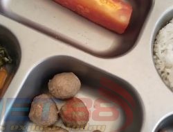 Dilema MBG, Program Atau Ladang Korupsi Baru