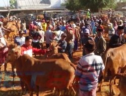 Pasar Hidup, Angka Mati: PADes Pamolokan Tak Pernah Diumumkan