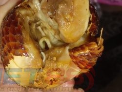 Buah Salak Berulat, Kepala SPPG Kotakan Mengakui Kesalahannya