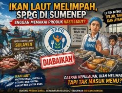 Daerah Kepulauan Kaya Ikan, Hasil Laut Nelayan Sumenep Terasa Diabaikan dalam Menu MBG