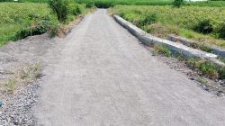 Disorot LSM, Proyek Lapen di Desa Lamongan Diduga Proyek Siluman, Tanpa Papan Nama dan Abaikan Spesifikasi