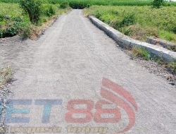 Disorot LSM, Proyek Lapen di Desa Lamongan Diduga Proyek Siluman, Tanpa Papan Nama dan Abaikan Spesifikasi