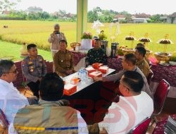 Tulungagung Surplus Beras, Plt.Bupati Ajak Komisi VI DPR RI Perkuat Sinergitas Ketahanan Pangan