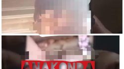 Pengusaha Ikan Asal Sumba Tengah, Diduga Pertontonkan “ANAKONDA” Lewat Video Call