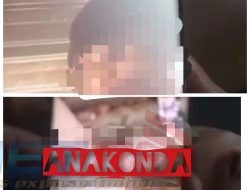 Pengusaha Ikan Asal Sumba Tengah, Diduga Pertontonkan “ANAKONDA” Lewat Video Call