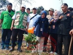 HUT TNI ke-81, Kodim 0822/Bondowoso Tanam 1.000 Pohon Libatkan Forkopimda dan LSM