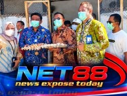 3.500 Ayam Petelur Lapas Pamekasan Panen, Hasilnya 100% Untuk Yatim & Duafa